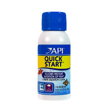API API Ǫuickstart