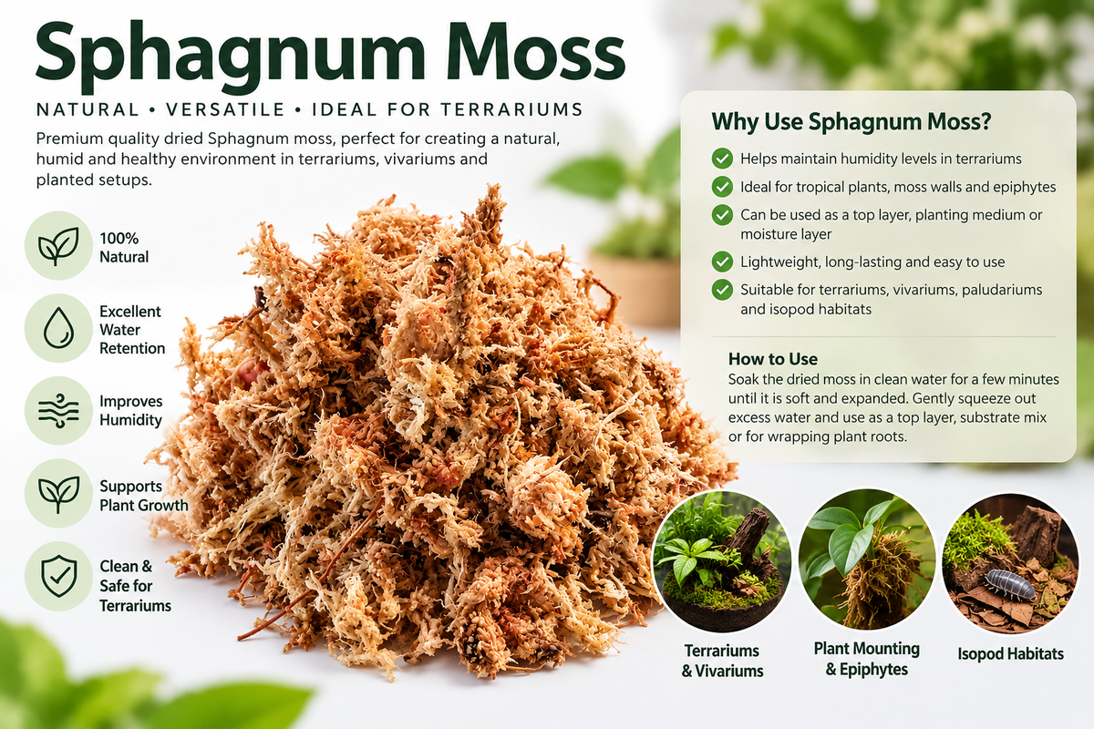 Sphagnum moss 200gms