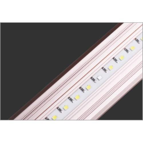 Sunsun Toplight | LED | ADE - 400C