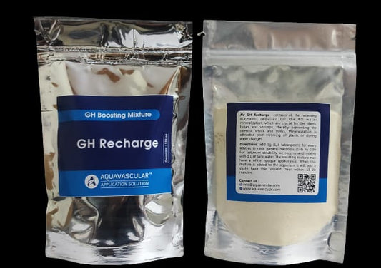 Aquavascular gH Recharge | New!