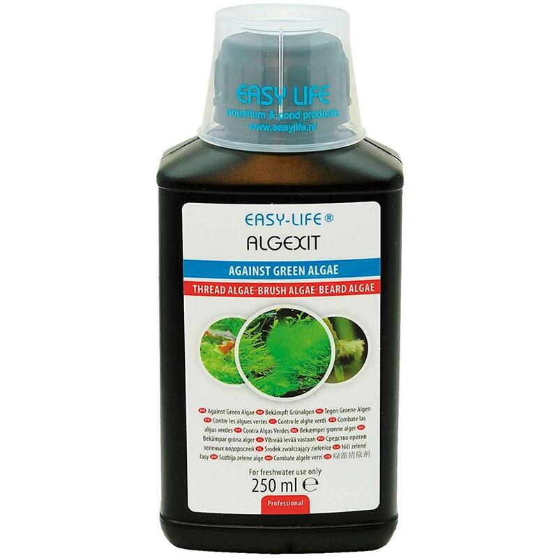 Easy Life AlgExit AQUA LOUNGE Easy life algexit aqua lounge