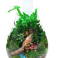 CHIHIROS - TERRARIUM KIT