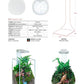 CHIHIROS - TERRARIUM KIT