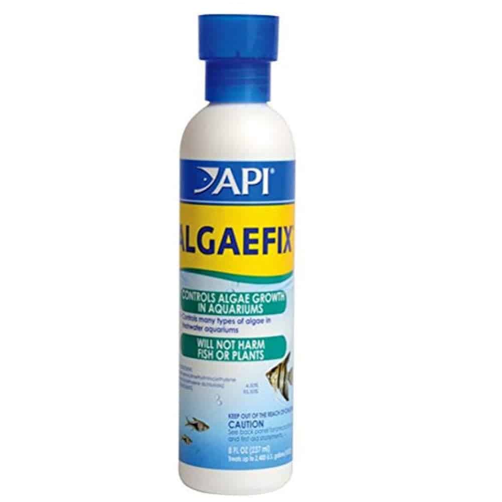 API Algae fix