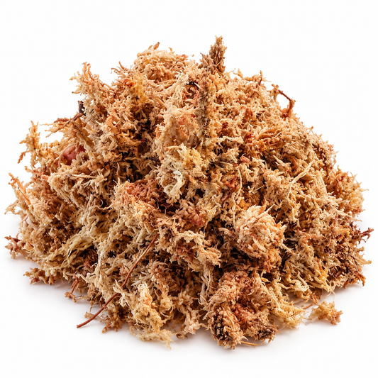 Sphagnum moss 200gms