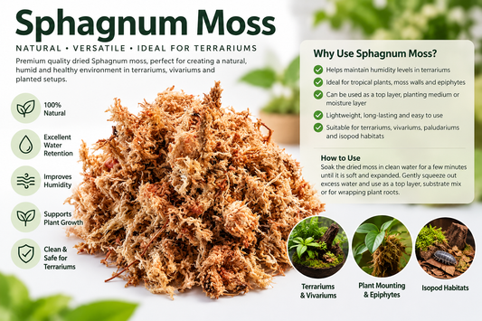 Sphagnum moss 200gms