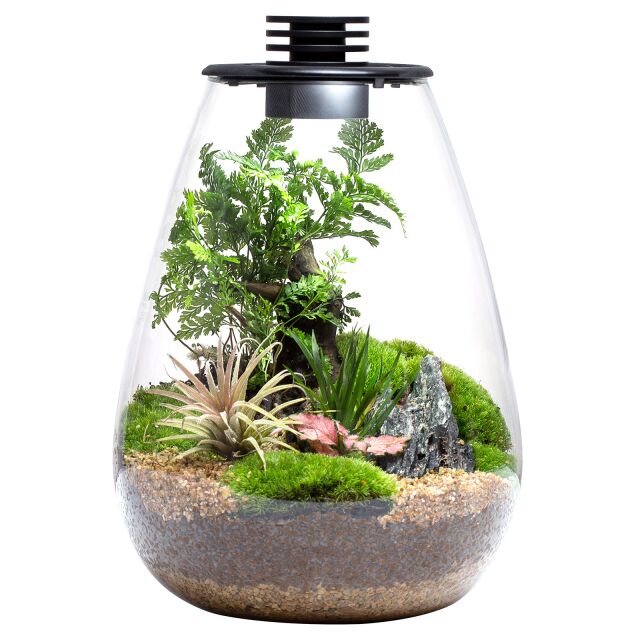 Bioloark Bio Bottle LED SD 175