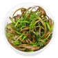 ADA Cryptocoryne spiralis 'Red'