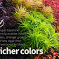 2Hr Aquarist APT Zero (200 ml)