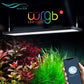Chihiros WRGBII 60 SLIM EDITION