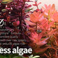 2Hr Aquarist APT Complete (200 ml)
