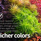 2Hr Aquarist APT Complete (200 ml)