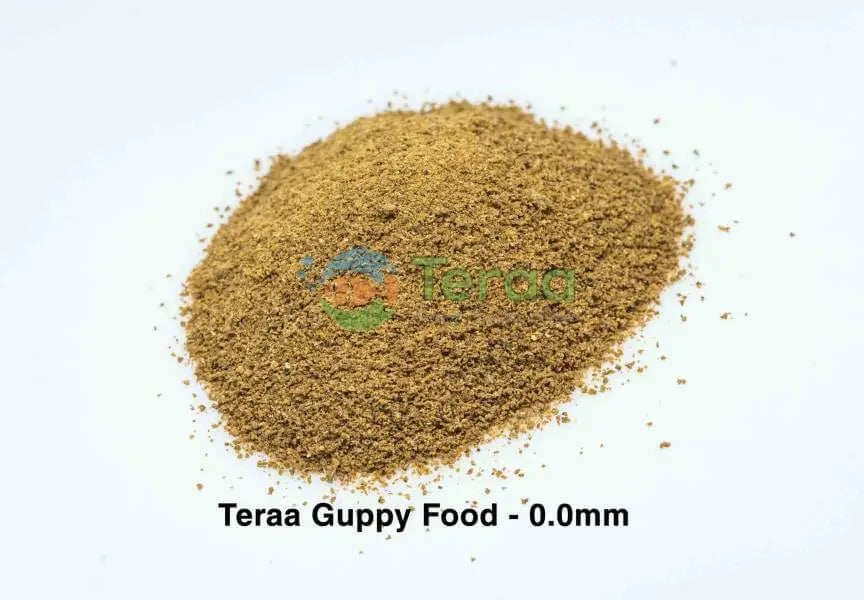 Terra Guppy Food 20gm