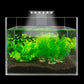 AST X3 Aquarium Led Light 6W For Small Fish Tank